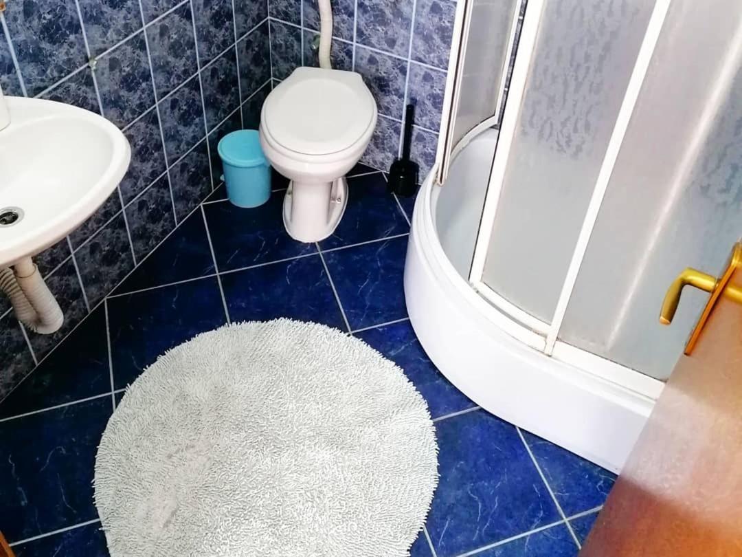 Vila Simic Sokobanja Zewnętrze zdjęcie