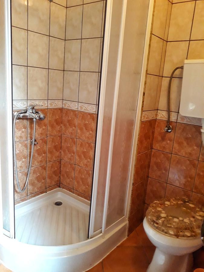 Vila Simic Sokobanja Zewnętrze zdjęcie