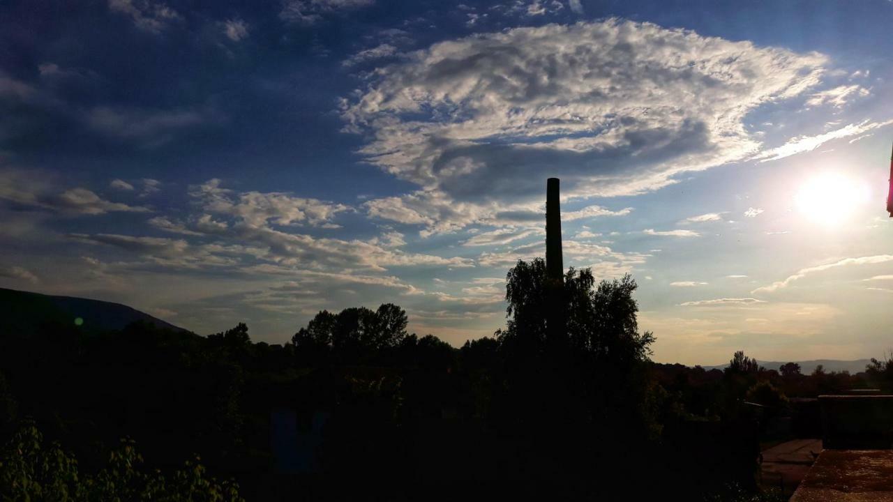 Vila Simic Sokobanja Zewnętrze zdjęcie