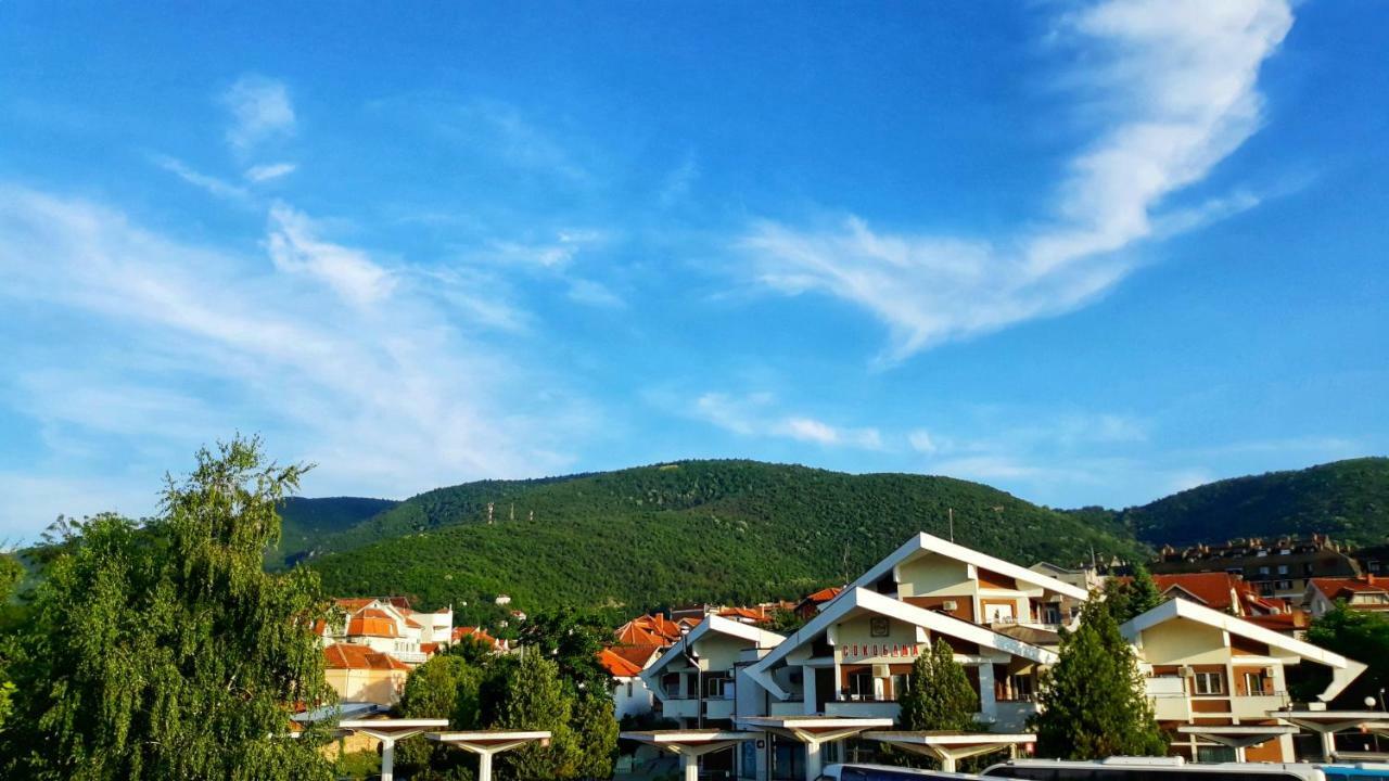 Vila Simic Sokobanja Zewnętrze zdjęcie